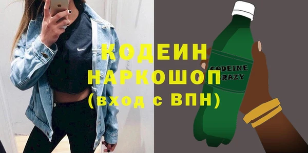 крисы Елабуга