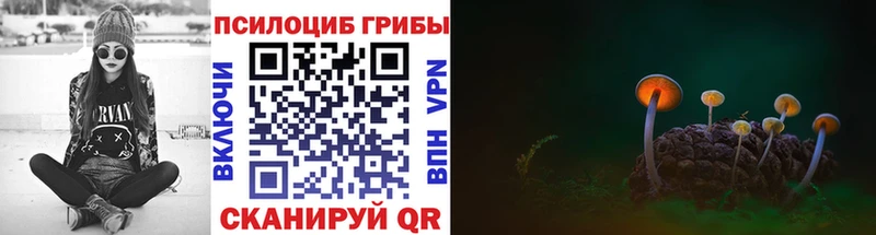 Галлюциногенные грибы мицелий  Снежногорск 